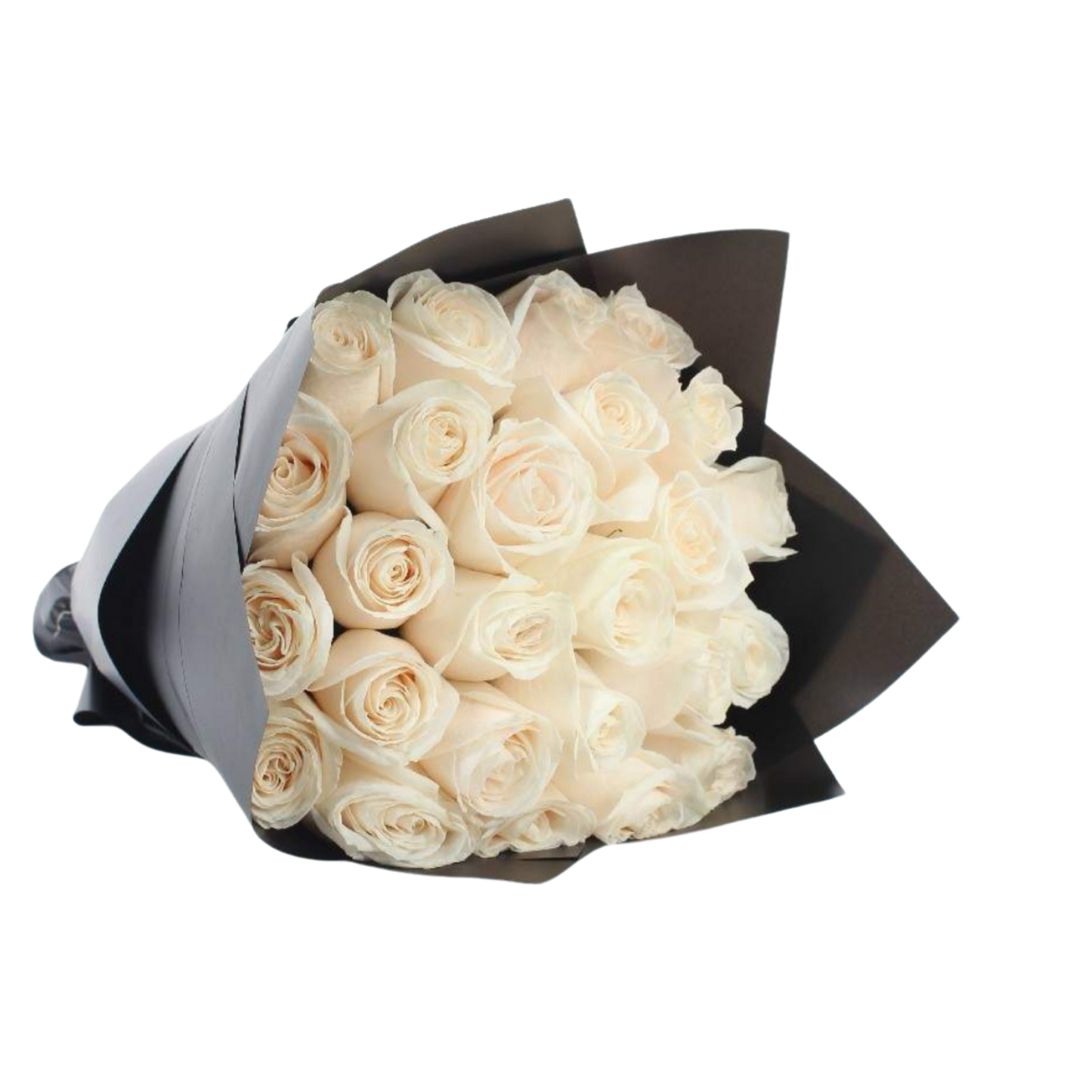 25 White Roses Bouquet بوكيه ٢٥ حبة روز ابيض
